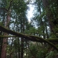 P1000761.JPG
